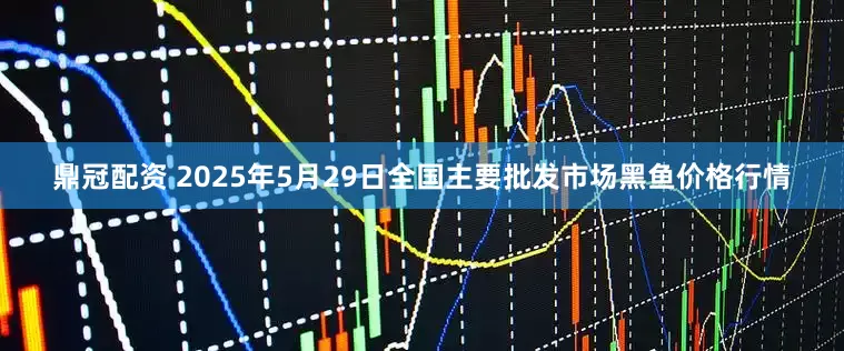 鼎冠配资 2025年5月29日全国主要批发市场黑鱼价格行情
