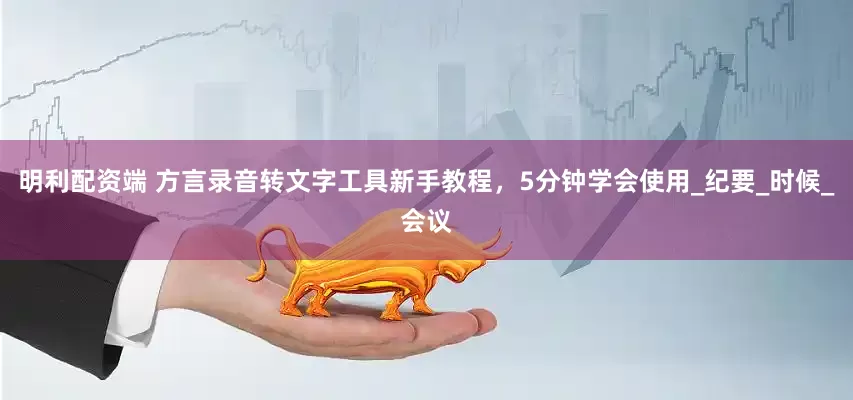 明利配资端 方言录音转文字工具新手教程，5分钟学会使用_纪要_时候_会议